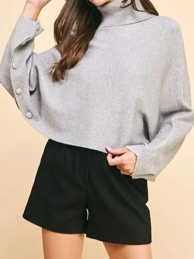 Turtleneck Raglan Sleeve Sweater